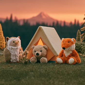National Parks Sale