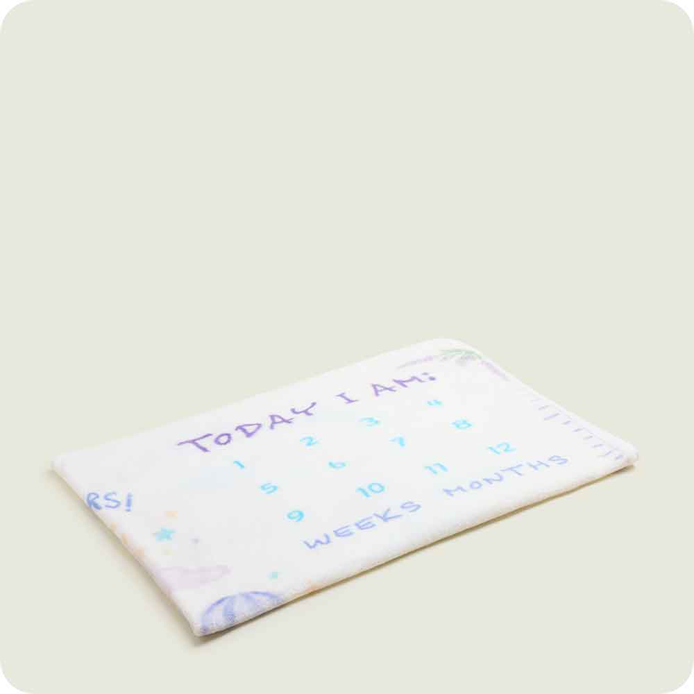Baby Milestone Blanket Warmies to document baby ages