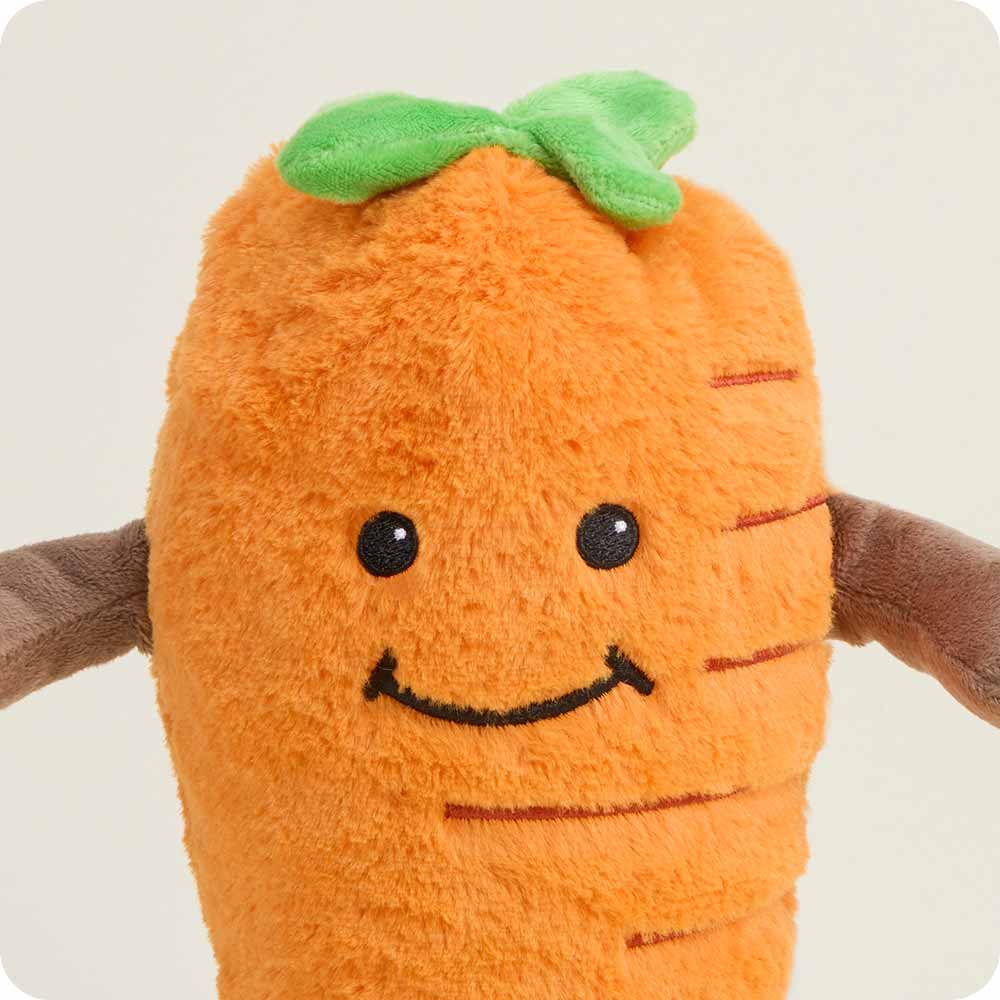 Carrot Stuffed Animal Warmies