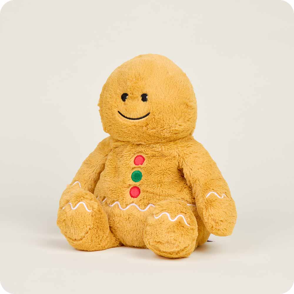 Microwavable Gingerbread Boy