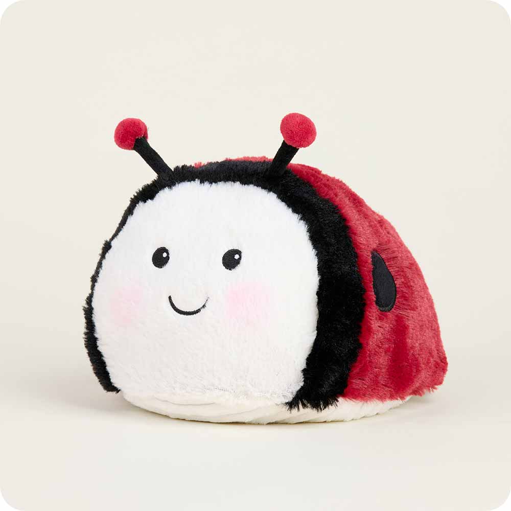 Microwavable Ladybug