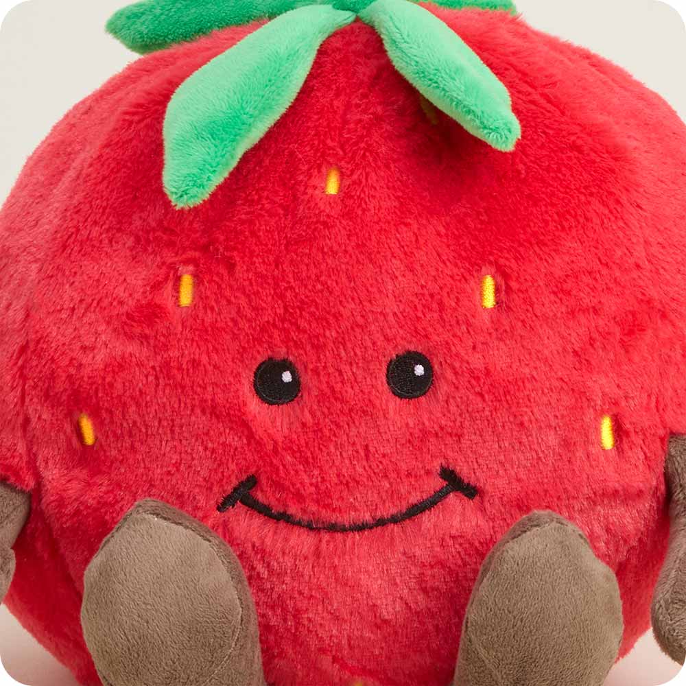 Strawberry Stuffed Animal Warmies