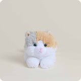 Microwavable Calico Cat Stuffed Animal Warmies Junior