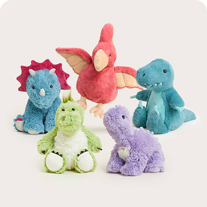 Oprah's Favorite Gifts