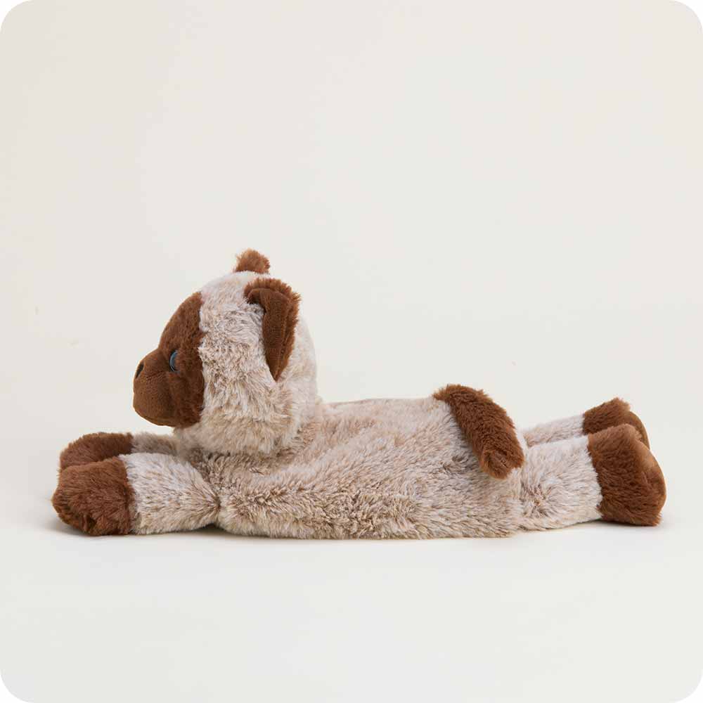 Microwavable Siamese Cat Warmies - Warmies USA
