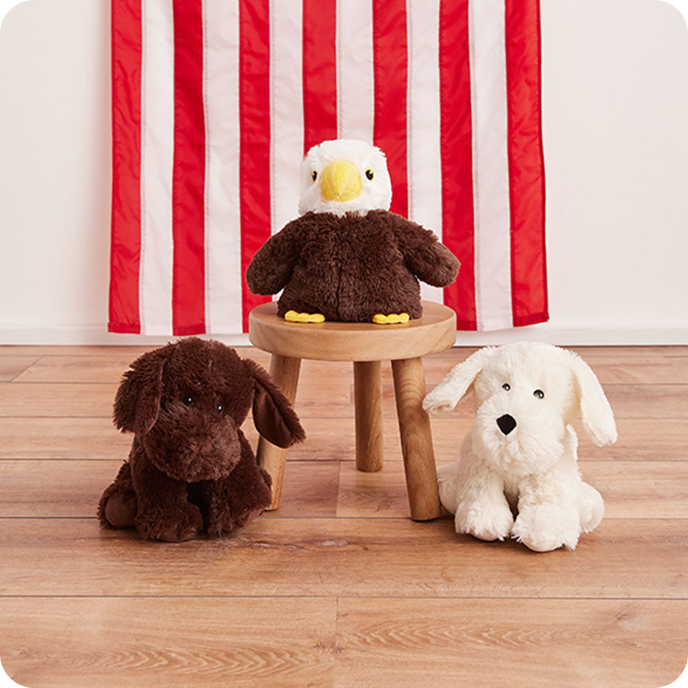 warmies chocolate lab stuffed animal with eagle and white dog lifestyle
