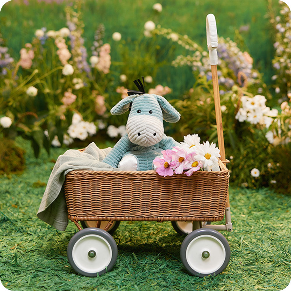 my first warmies donkey in picnic basket