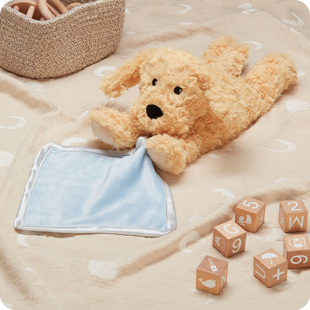 warmies golden dog blankie on kids blanket with blocks