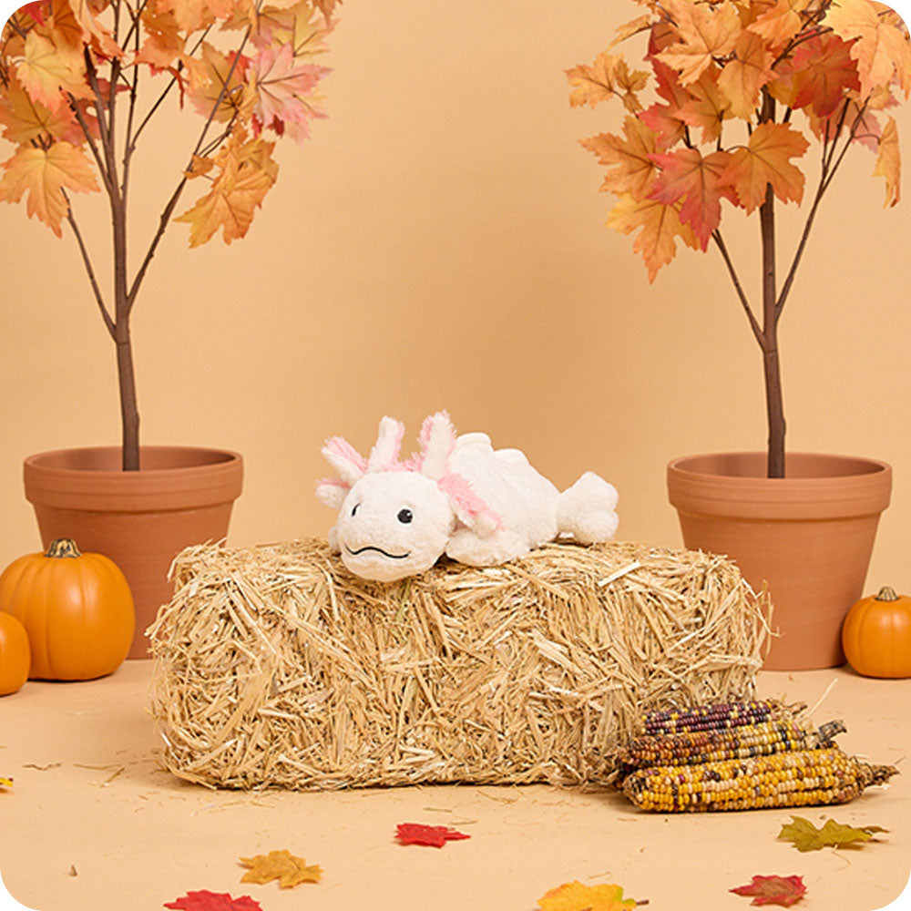 white axolotl warmies autumn lifestyle