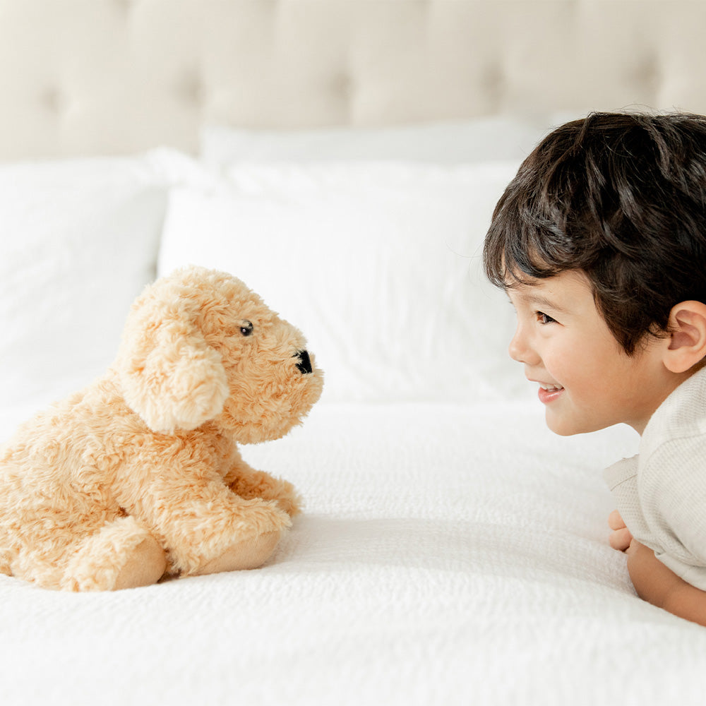 Little boy smiling at Soft Warm Weighted Golden Dog Plush Warmies