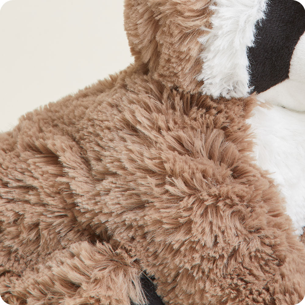 Soft Warm Weighted Raccoon Plush Warmies