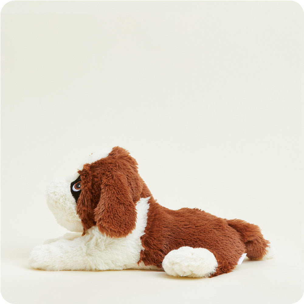 Microwavable St. Bernard