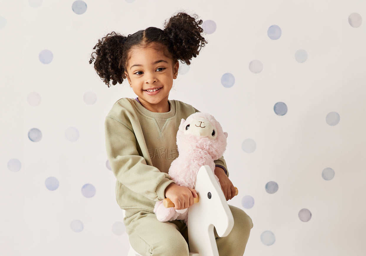 Plush heatable Llama stuffed animals.