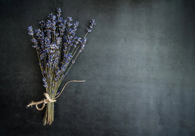 Lavender as a Remedy to Help with Anxiety & Relaxation