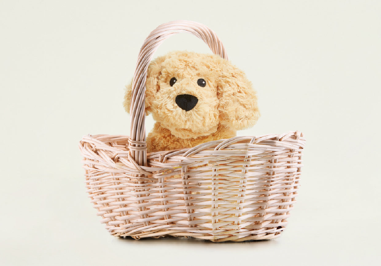 A Golden Dog stuffed animal from Warmies in a basket.