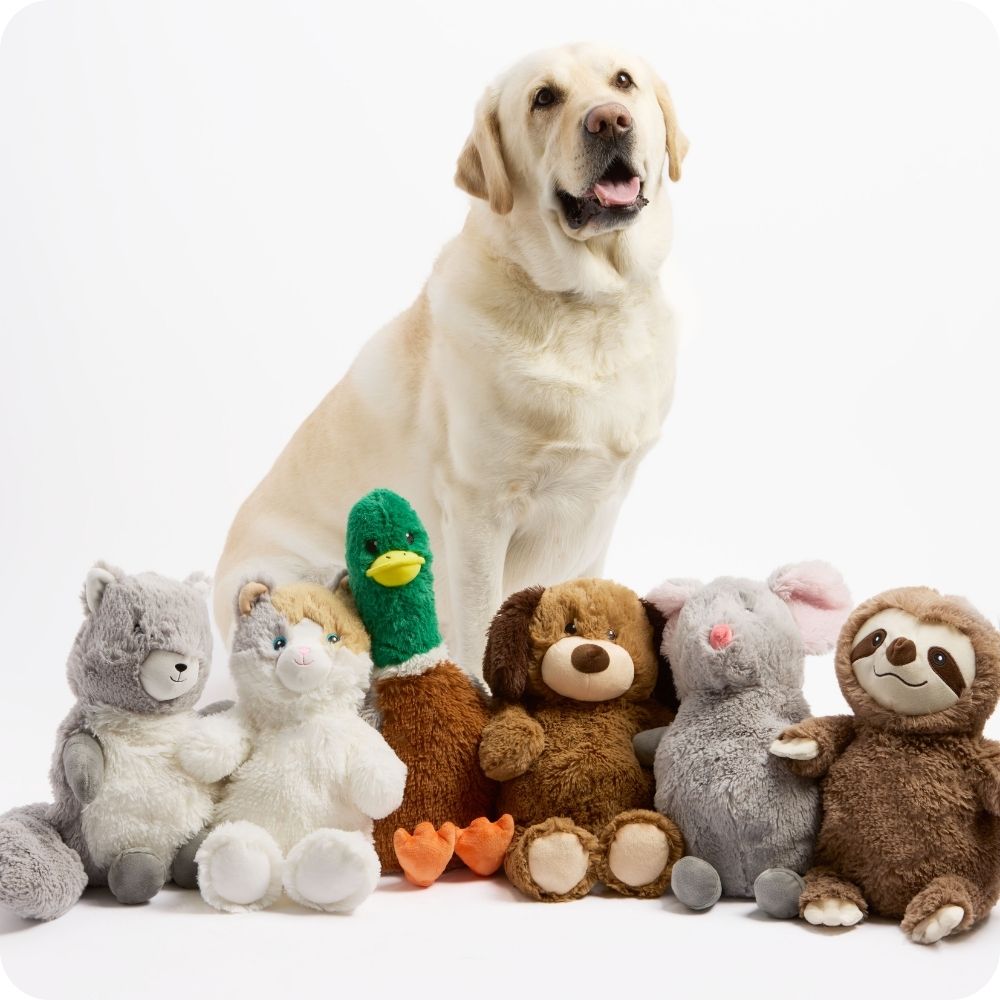 A dog with a squirrel, calico cat, mallard, mouse, brown dog, and sloth Warmies for Pets. 