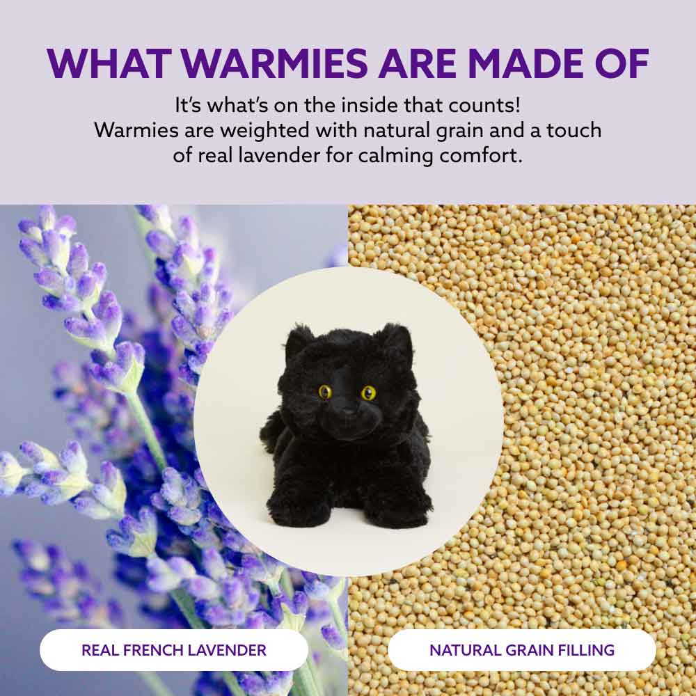 Black Cat Warmies