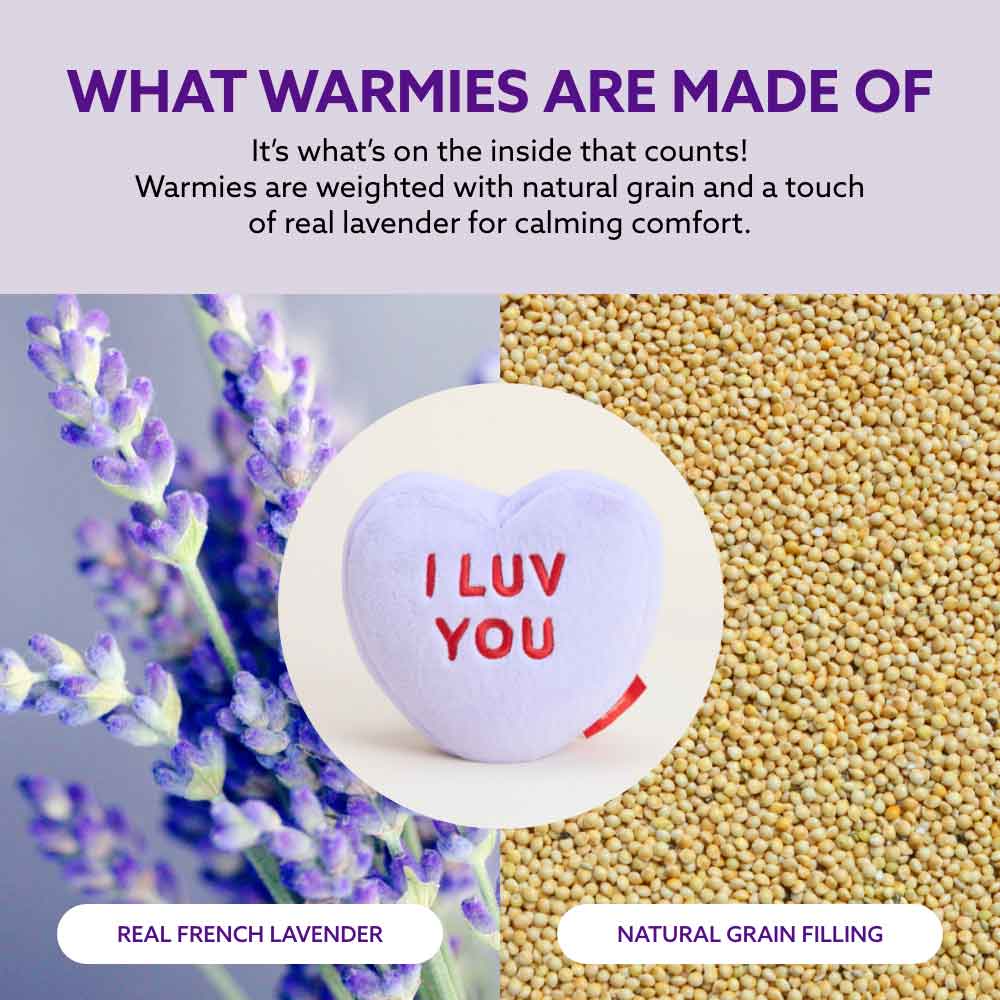 Sweethearts Purple I Luv You Heart Warmies