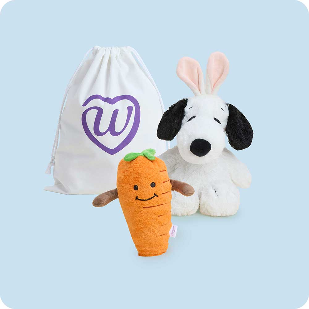 Snoopy’s Springtime Duo