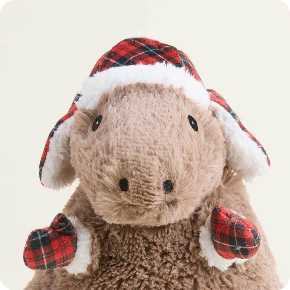 Microwavable Cozy Capybara Warmies - Warmies USA