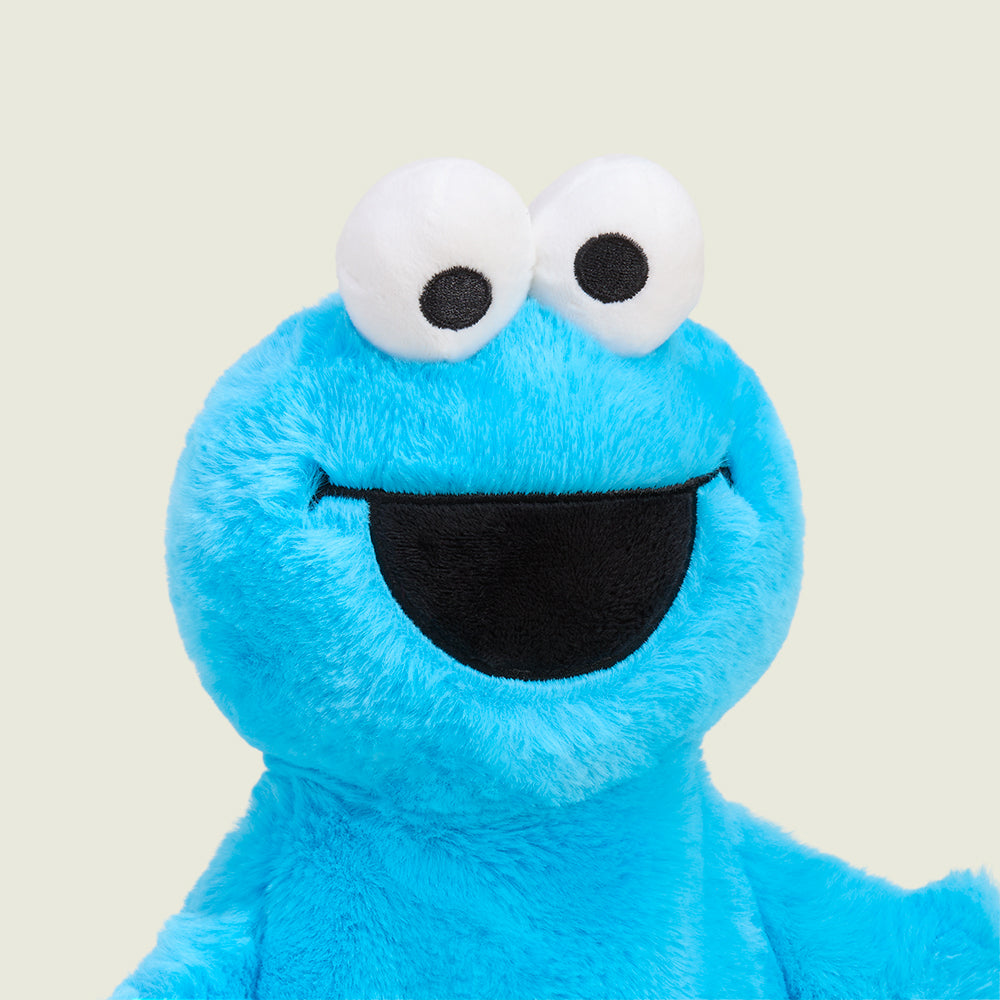 Cookie Monster Warmies