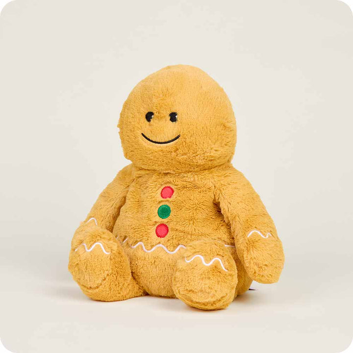 Microwavable Gingerbread Boy 