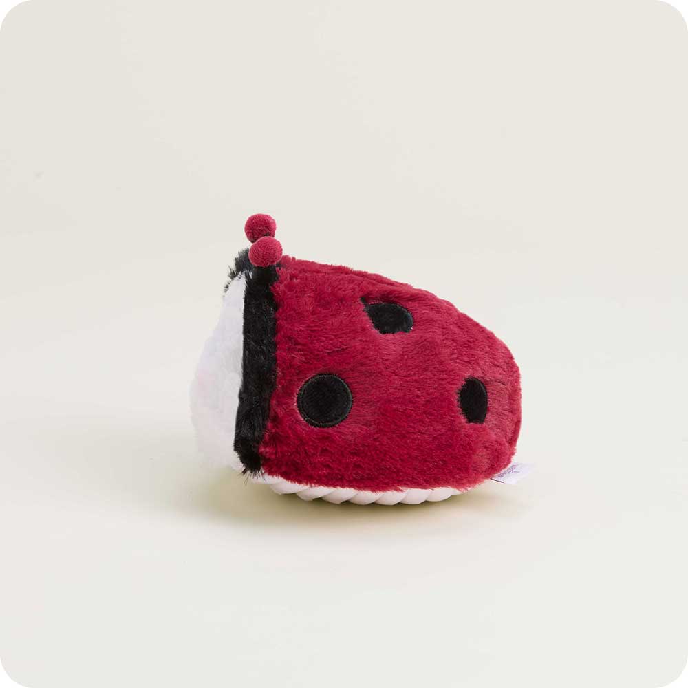 Ladybug Warmies Junior
