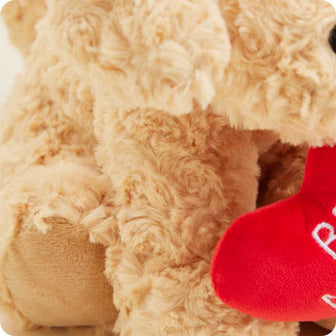 Soft Warm Weighted Be Mine Golden Dog Plush Warmies