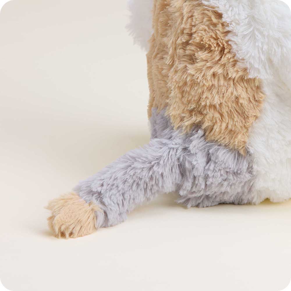 Calico Cat Warmies for Pets