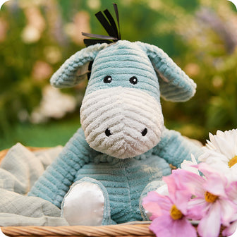 my first warmies donkey in garden picnic setting