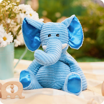 my first warmies elephant on picnic blanket