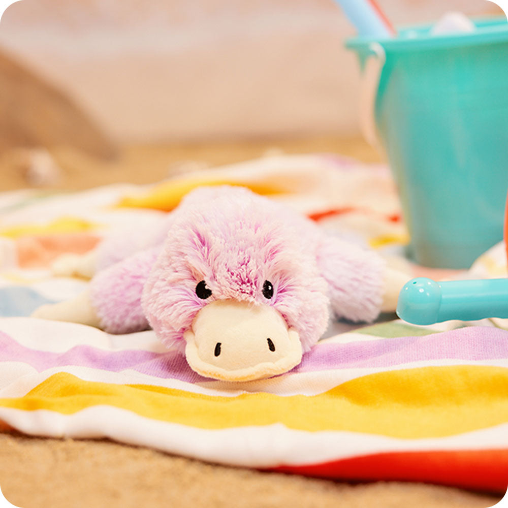 platypus stuffed animal on the beach