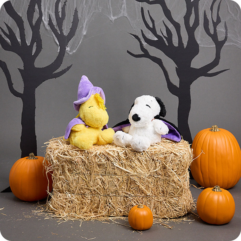 wizard woodstock and snoopy stuffed animals in halloween setting