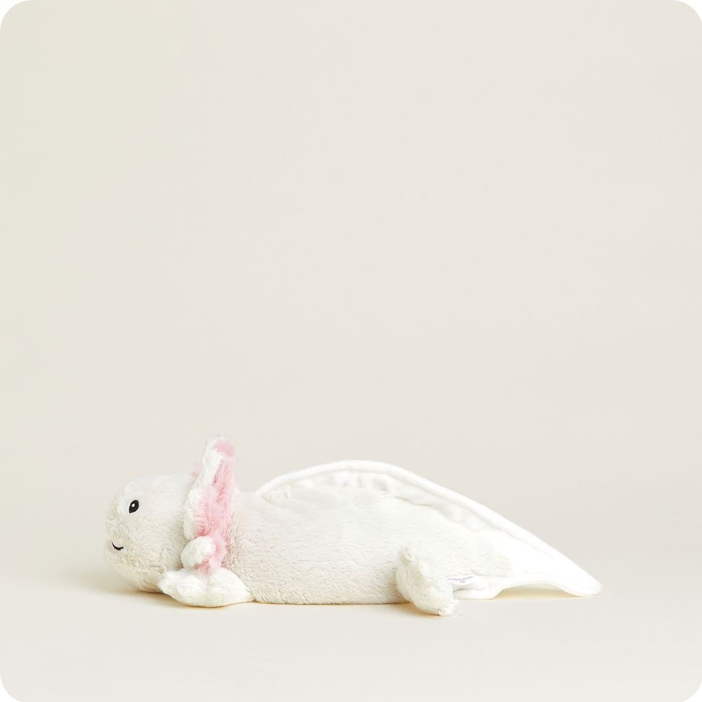 Watch This WARMIE Axolotl is so CUTE!!!! on Live Watch This WARMIE Axolotl is so CUTE!!!! on Live