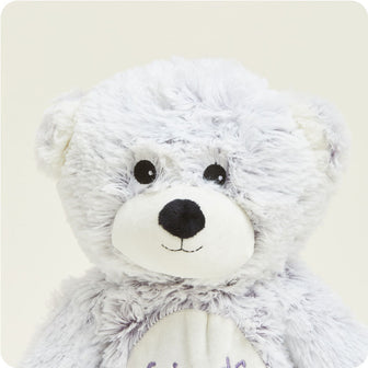 Friends Bear Stuffed Animal Warmies