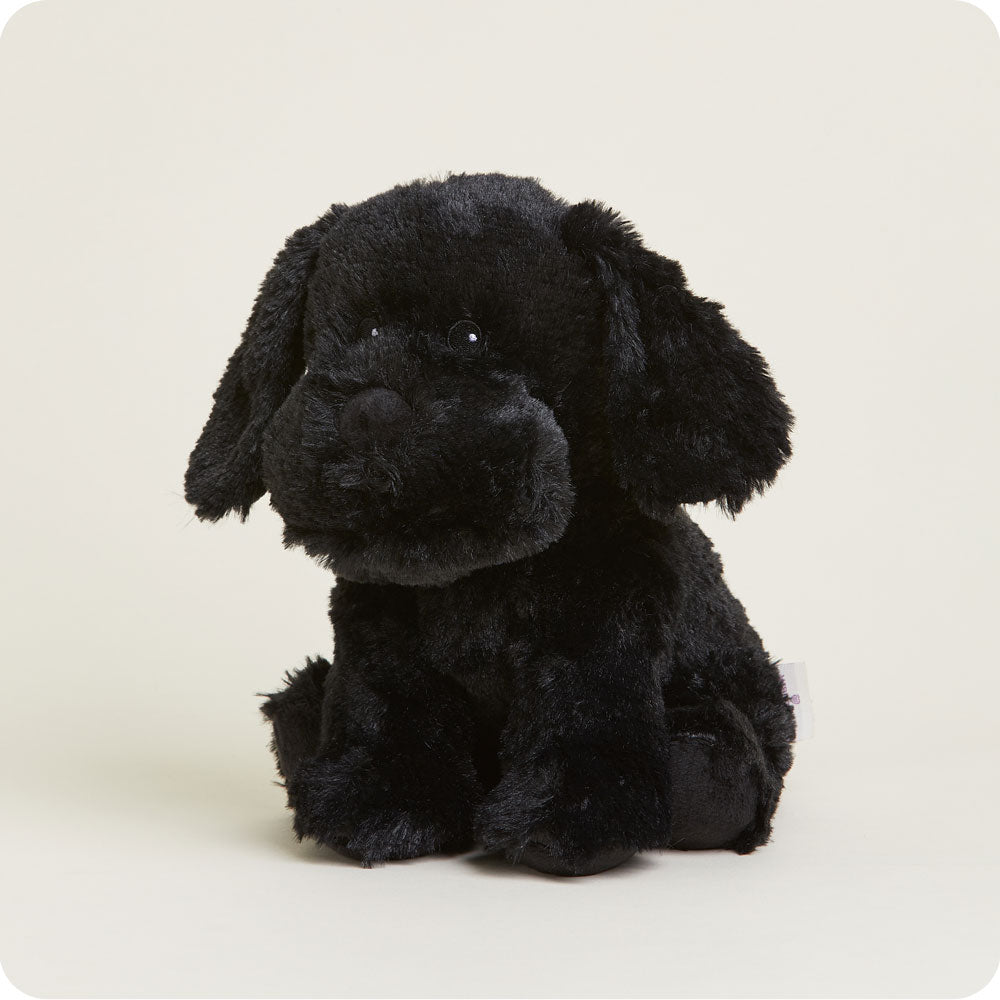 Microwavable Black Labrador