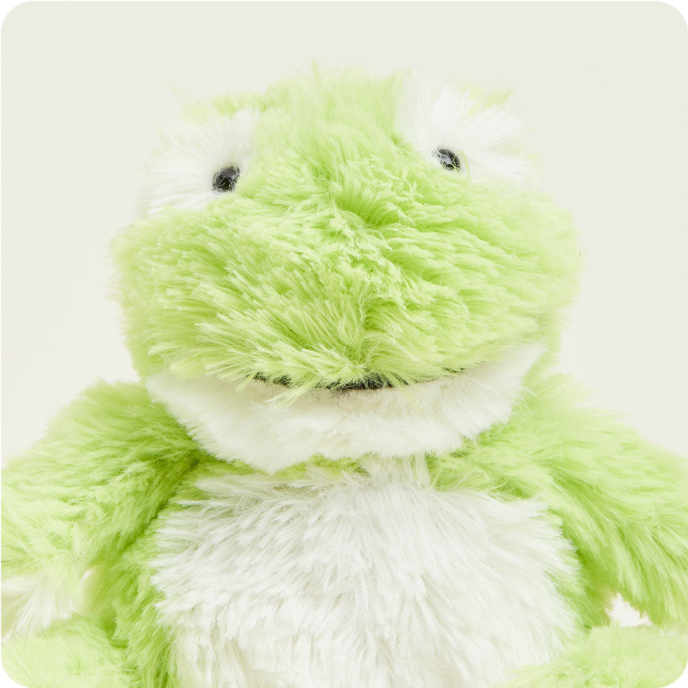 Warmies® Junior Frog  Soft toy, Toys & gifts, Dinosaur stuffed animal