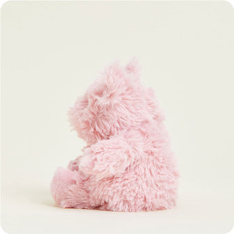 Microwavable Pig
