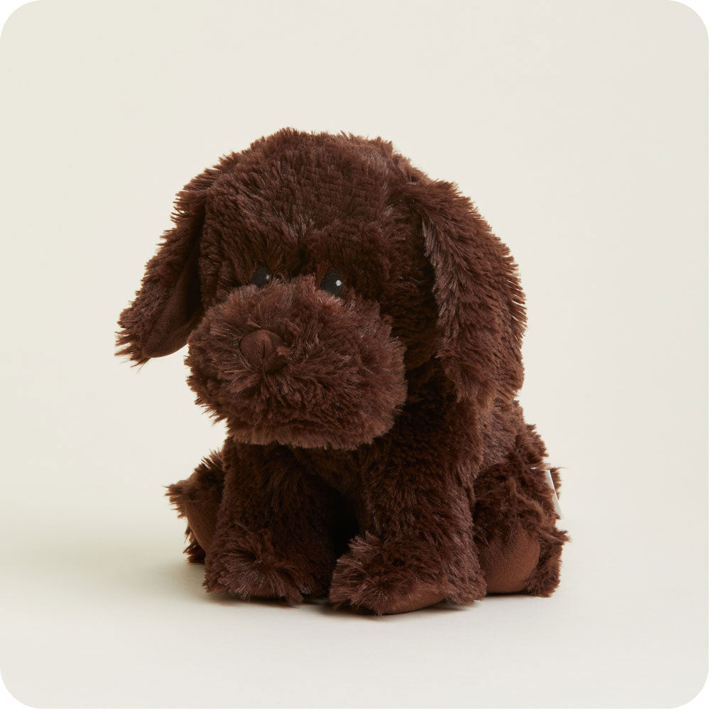 Microwavable Chocolate Labrador